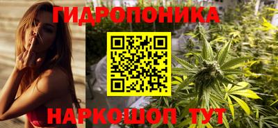 крисы Лесосибирск