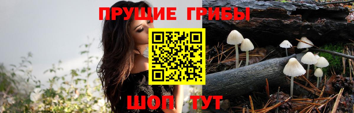 Гатчина  Кокаин  ЭКСТАЗИ  Вход с VPN  Мефедрон кристаллы  Alpha PVP СОЛЬ кристаллы  Мефедрон  ГАШ  Каннабис 