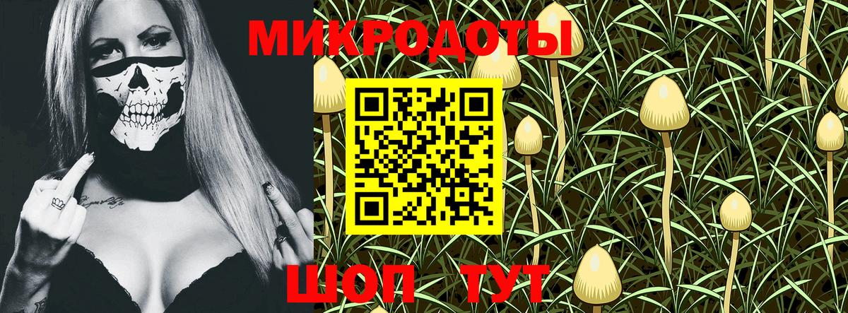 Галлюциногенные грибы ЛСД  Вход с VPN  Гатчина 