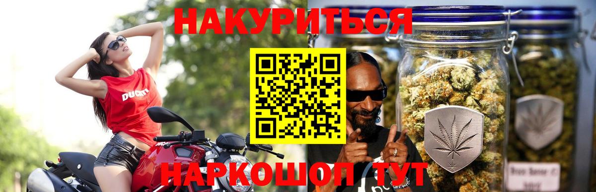 Каннабис план  Конопля ГИДРОПОН  Вход с VPN  Гатчина 